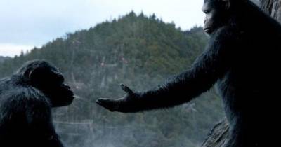 Loạt hình ảnh mới từ Dawn of the Planet of the Apes