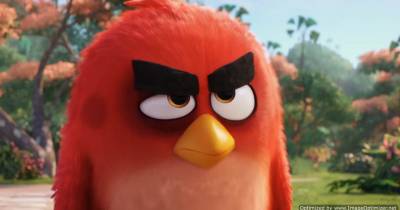 Hưởng ứng kêu gọi bảo vệ Trái Đất cùng Red trong Angry Birds