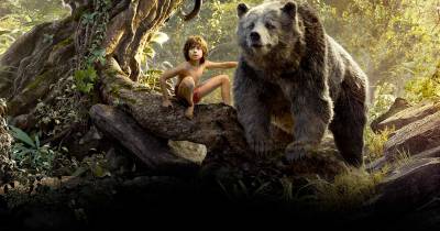 Những bộ phim được tâng bốc quá mức và những bộ phim bị chê sấp mặt trong năm 2016 (P1)