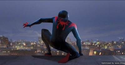 Người Nhện: Vũ Trụ Mới - Thế giới mới của Spider-man