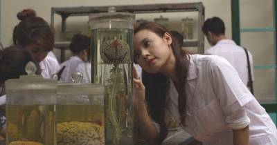 Mùa Hè Lạnh trơn tuột cảm xúc