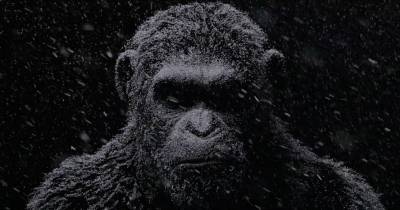 Thông tin chi tiết về trailer War for the Planet of the Apes tại NYCC