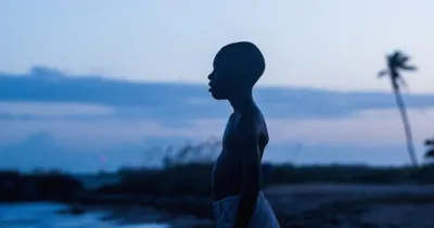 In moonlight, black boys look blue