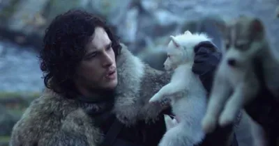 Những khoảnh khắc thú vị của Game of Thrones mà bạn đã bỏ lỡ