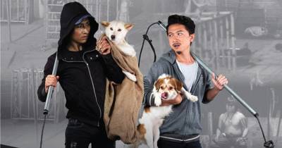 [REVIEW] Kẻ Trộm Chó - Bộ phim ẩn chứa nhiều thông điệp ý nghĩa