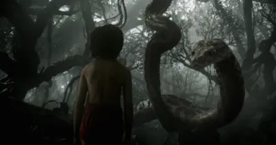 The Jungle Book của Disney bạo lực và dữ dội