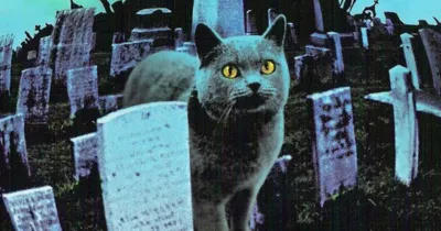 Hé lộ ảnh hậu trường đầu tiên của Pet Sematary remake