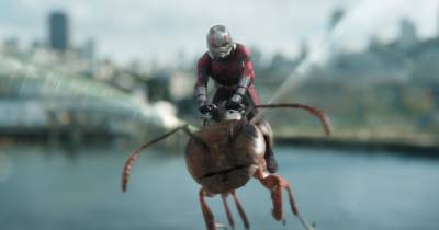 Những điều bạn cần biết về Ant-Man and The Wasp – Bộ đôi sẽ công phá phòng vé tháng 7