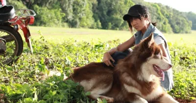 Hari Won ngầu và bụi trong Trùm Cỏ