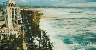 Bẫy Cá Mập - hiểm họa sau thảm họa