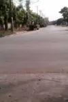 tieudi82cn