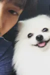 HyNguyen
