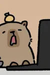 Horimaya