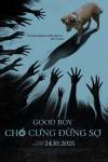  Good Boy: Chó Cưng Đừng Sợ 