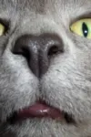 1307816045917052