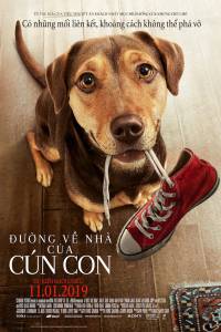 Đường Về Nhà Của Cún Con