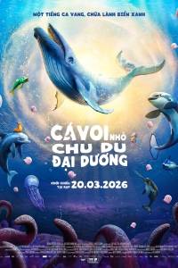 Cá Voi Nhỏ Chu Du Đại Dương