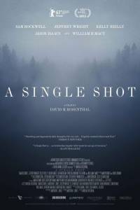 A Single Shot