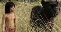 Bạn đã sẵn sàng cho The Jungle Book 2?