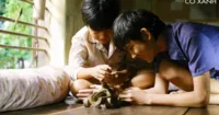 Tôi Thấy Hoa Vàng Trên Cỏ Xanh đại diện Việt Nam tại LHP quốc tế