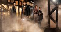 Fantastic Beasts And Where To Find Them 2: Cùng xem qua hồ sơ của Newt Scamander
