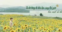 Chưa ra rạp, 100 Ngày Bên Em đã gây chú ý bởi dàn soái ca “chất như nước cất”