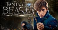 Fantastic Beasts and Where to Find Them – Kỷ nguyên phép thuật đã trở lại