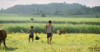 Vũ trụ điện ảnh chuyển thể từ truyện của Nguyễn Nhật Ánh – Tại sao không?
