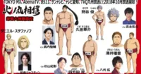 Anime truyền hình Hinomaru Sumo công bố thêm 7 diễn viên