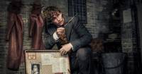Giới phê bình nói gì về Sinh Vật Huyền Bí - Tội Ác Của Grindelwald?