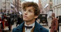 Newt Scamander và Eddie Redmayne – Cả hai có thực sự nhạt nhòa trong Sinh Vật Huyền Bí 2?
