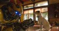 [REVIEW] Bumblebee – Khởi đầu mới ổn thỏa của một thương hiệu lâu năm