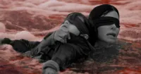[REVIEW] Bird Box - Khi chú chim trong hộp trở về với thế giới bên ngoài