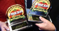 Thống kê từ Rotten Tomatoes cho thấy chất lượng của các bộ phim đang tốt hơn