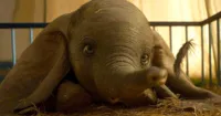 Dumbo: Chú Voi Biết Bay đang nhận được những phản ứng tích cực từ truyền thông