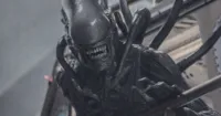 Phần tiếp theo của Alien: Covenant vẫn được triển khai