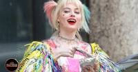 Margot Robbie tiết lộ về Birds of Prey