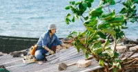 Anh Thầy Ngôi Sao – Miu Lê không ngại nắng mưa khi vào vai cô gái có cá tính mạnh
