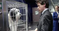 Bác Sĩ Dolittle: Chuyến Phiêu Lưu Thần Thoại - Người Sắt hóa thân thành bác sĩ