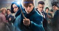 Những lý do tuyệt vời để xem Fantastic Beasts