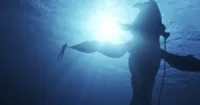 Avatar 2: Dòng Chảy Của Nước - Câu chuyện đằng sau thương hiệu Avatar