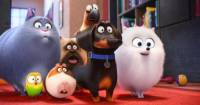 Phòng vé tuần qua -  Thú Cưng đánh bại Dory