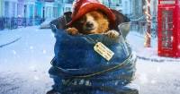 Phim hoạt hình hot nhất Tết 2025 - Hành trình của chú gấu nâu Paddington