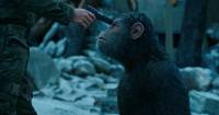 [REVIEW] War for the Planet of the Apes - Tạm biệt thủ lĩnh của tôi