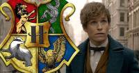 Tên của bốn nhà Hogwart ở Mỹ trong Fantastic Beast được tiết lộ