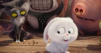 The Secret Life of Pets – 5 clip mới siêu đáng yêu về cuộc hành trình của các thú cưng