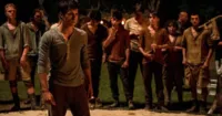 Giải Mã Mê Cung - đối thủ mới của The Hunger Games