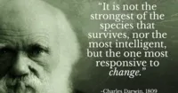 Chuyến thám hiểm của Charles Darwin lên màn ảnh rộng
