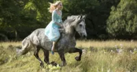 Hãng Disney hé lộ lịch phim hoành tráng trong năm 2015
