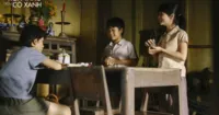 Tôi thấy hoa vàng trên cỏ xanh - Những thiên thần của Victor